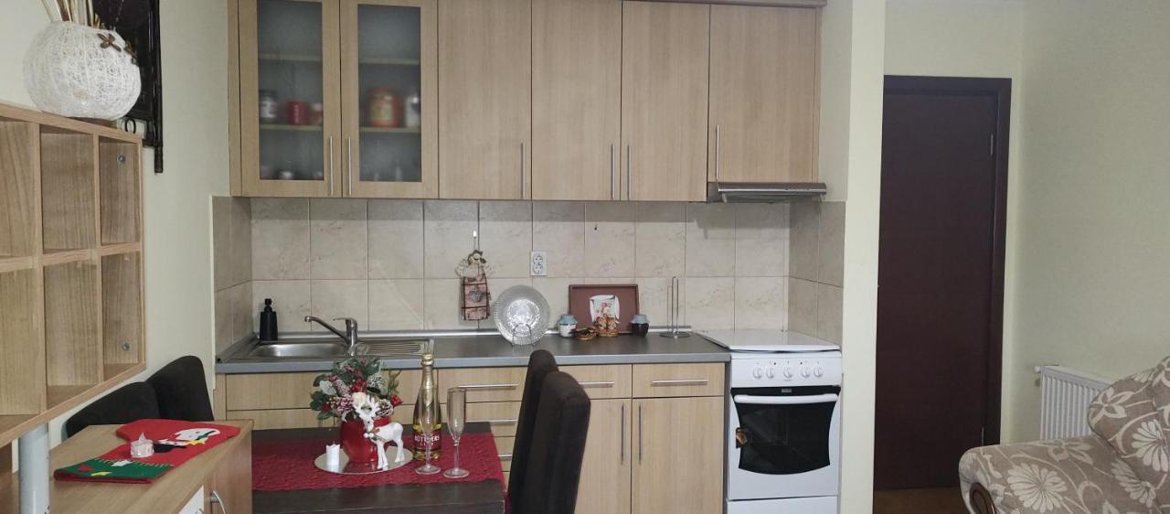 Apartman Mali Raj Vrnjačka Banja エクステリア 写真