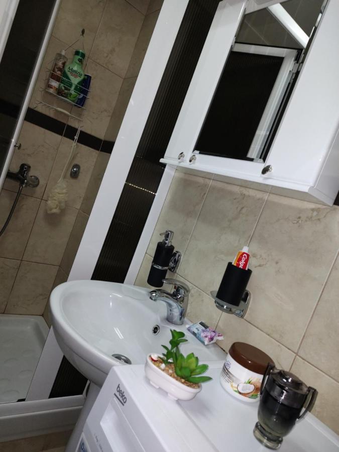 Apartman Mali Raj Vrnjačka Banja エクステリア 写真
