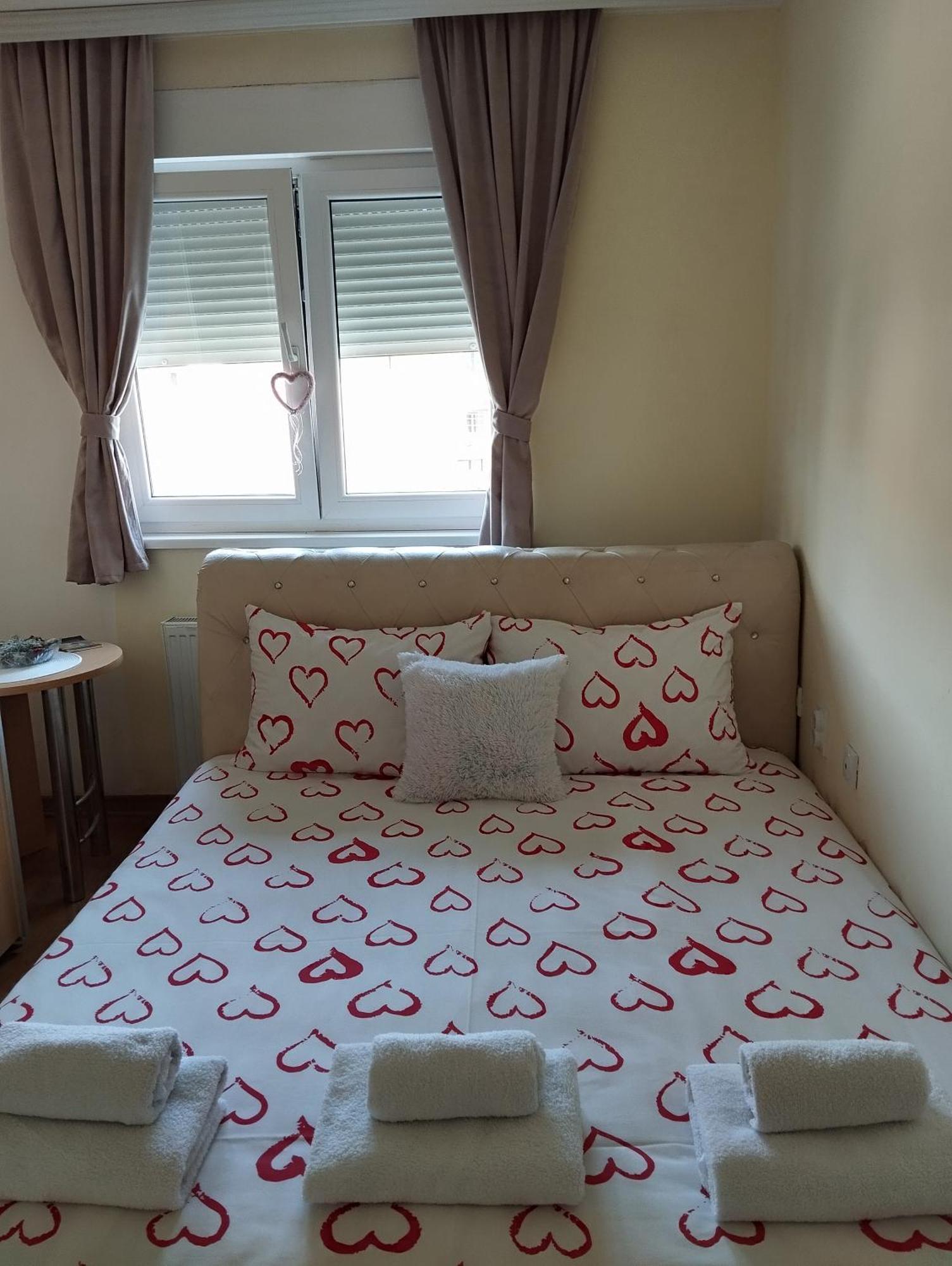 Apartman Mali Raj Vrnjačka Banja 部屋 写真